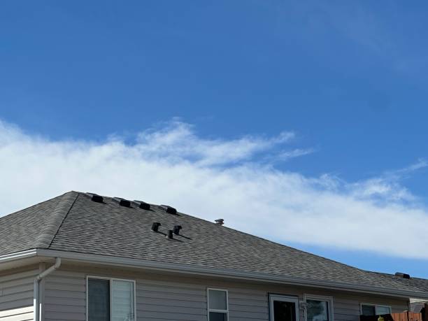 Best Roof Ventilation Installation  in Como, WI